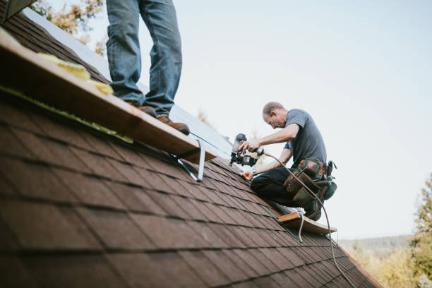 Best Gutter Installation and Roofing  in Muenster, TX