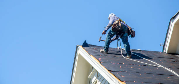 Best Roof Restoration Services  in Muenster, TX
